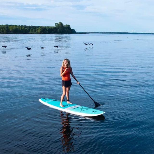 stand_up_paddle_board