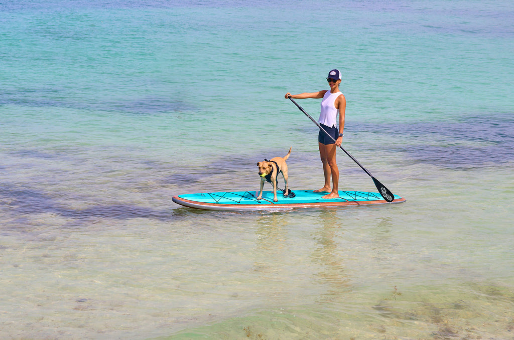 stand_up_paddle_board