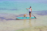 XPEDITION Woody Paddle Board Package By Cruiser SUP®