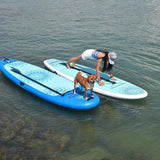 stand_up_paddle_board