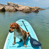 stand_up_paddle_board