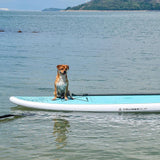 stand_up_paddle_board