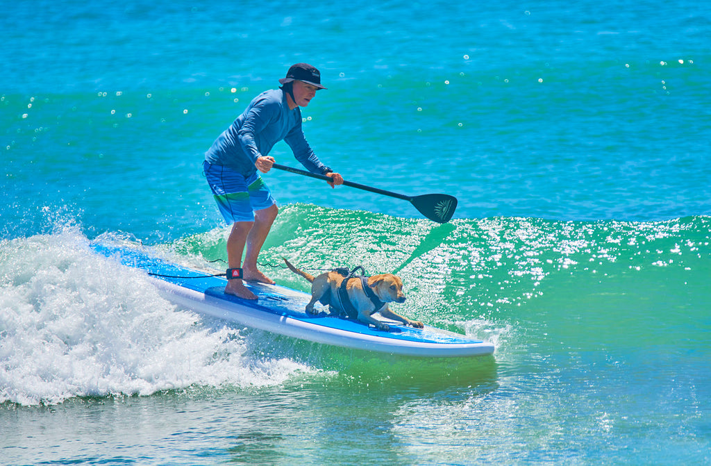 15L Dry Bag - Cruiser SUP