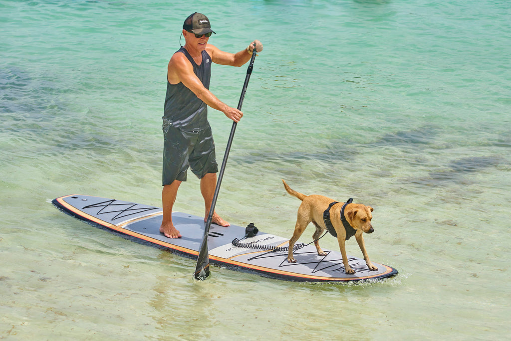 Two BLISS LE Wood / Carbon Paddle Board Package By Cruiser SUP®