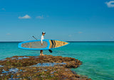 stand_up_paddle_board